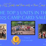 2025-top-units-card-card-sales-1100-x-679-px-2-1